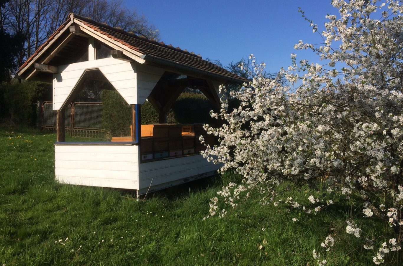 Unser Bienenhaus Unser Bienenhaus mit 6 Völker im Garten
